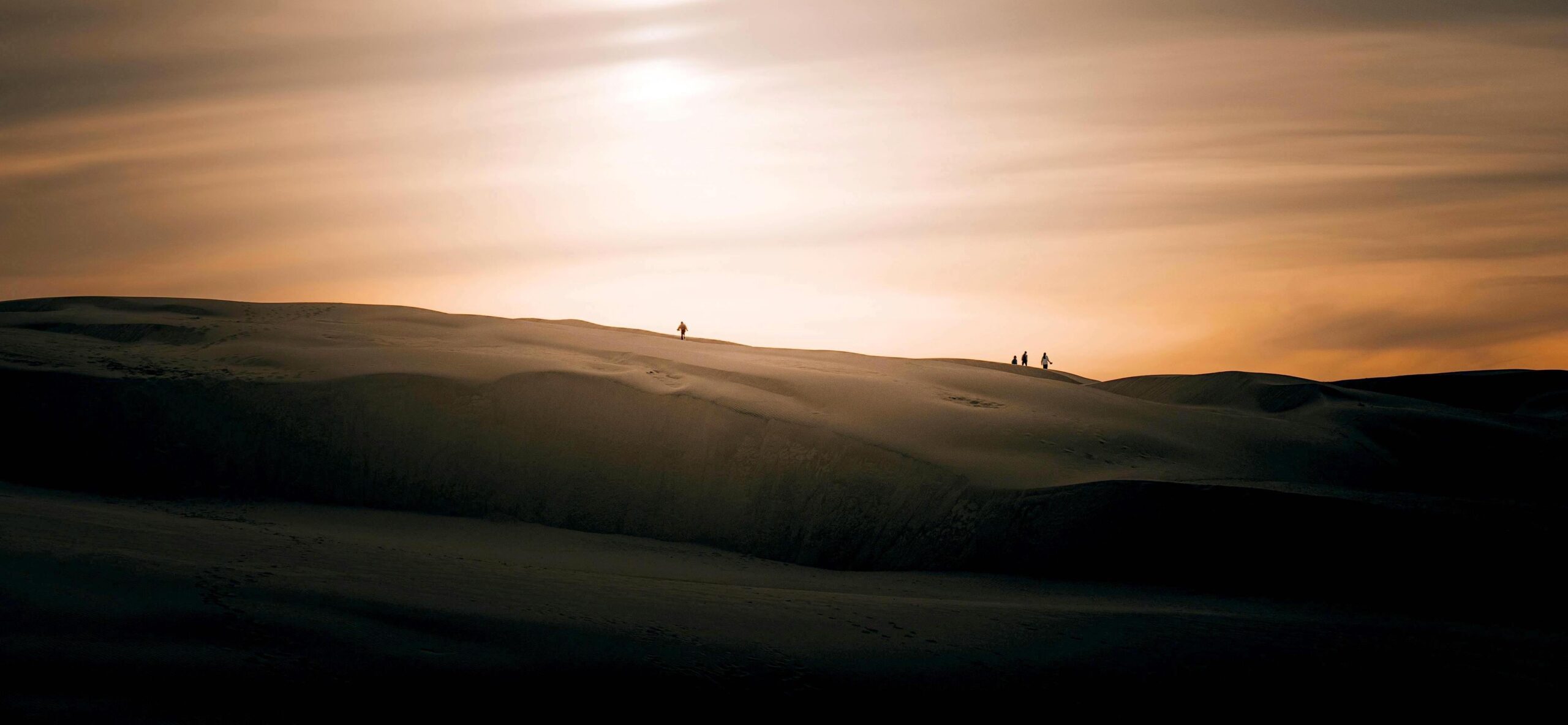 SATURDAY AFTERNOON DESERT DRIVE - MULTI LEVELS, MULTI CONVOYS - 14 FEB 26