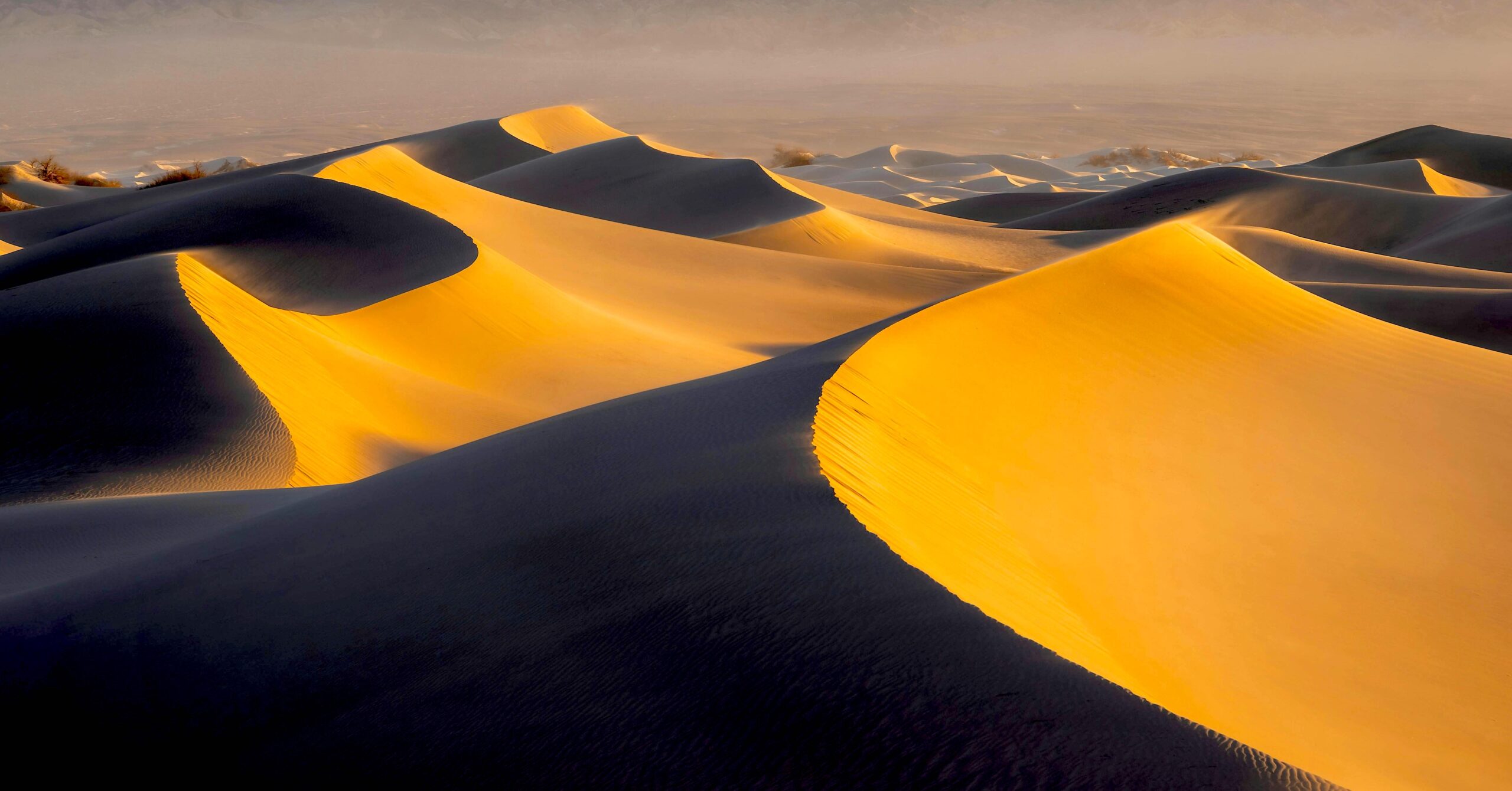 SATURDAY AFTERNOON DESERT DRIVE - MULTI LEVELS, MULTI CONVOYS - 21 FEB 26